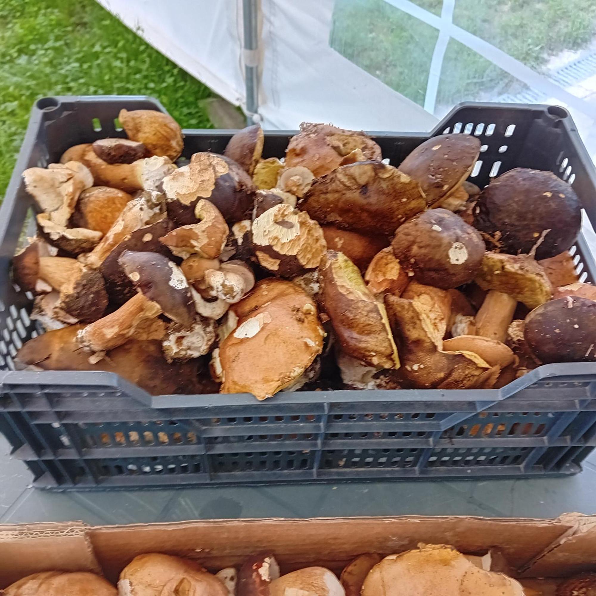 Clos A Malypense Chez Mr Montamat Galan Bagian luar foto